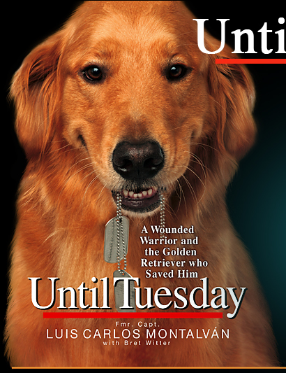 Until Tuesday